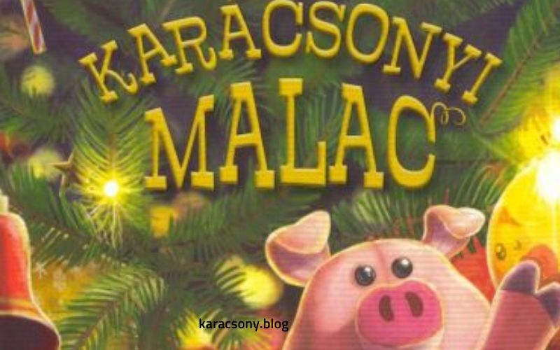 Karácsonyi malac könyv